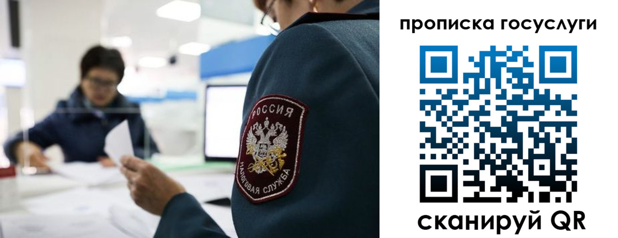 регистрация для школы в Сосновом Бору